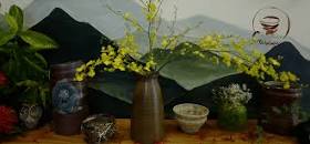 Tibisea - dojo of high quality tea, book and ceramic